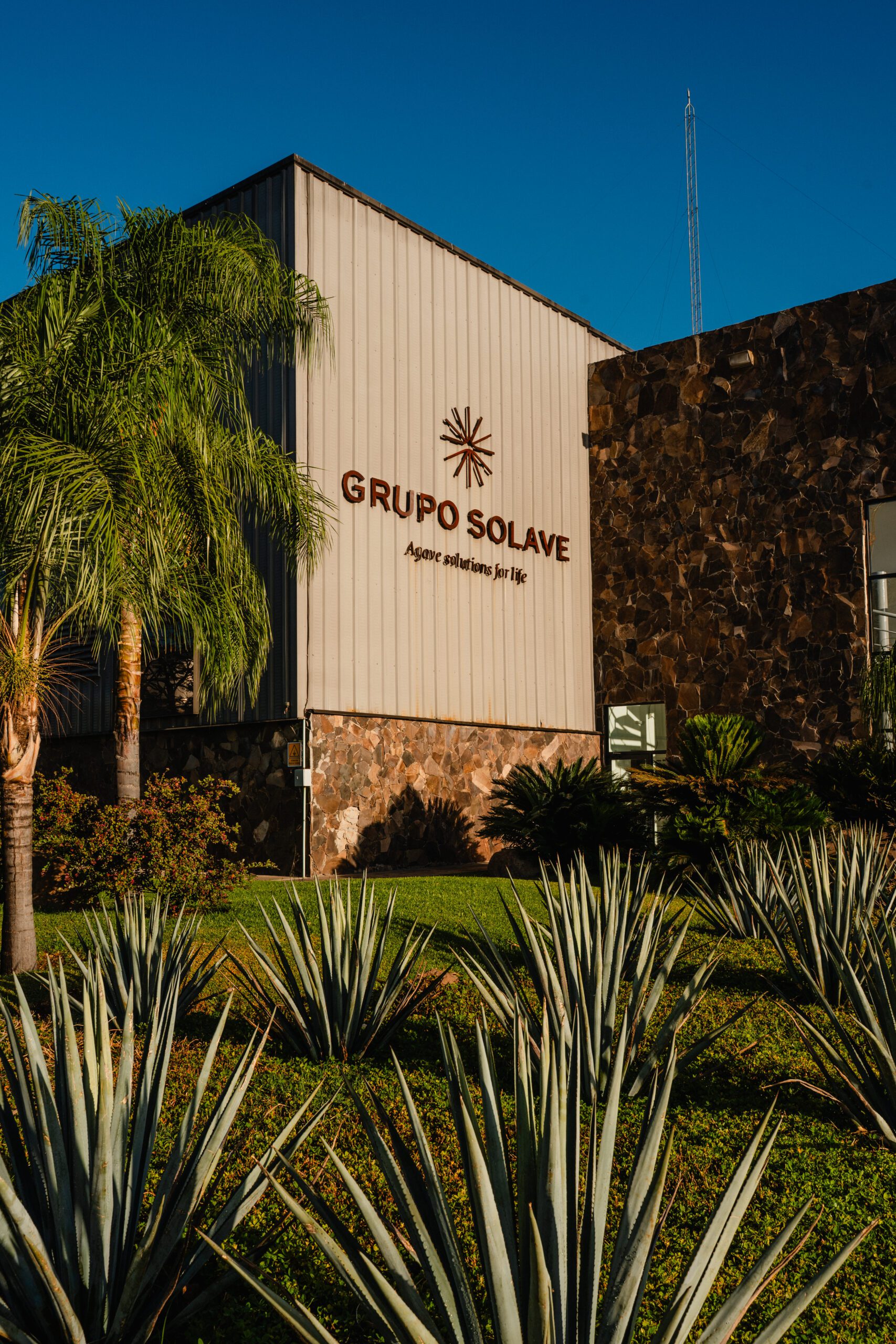 Grupo Solave